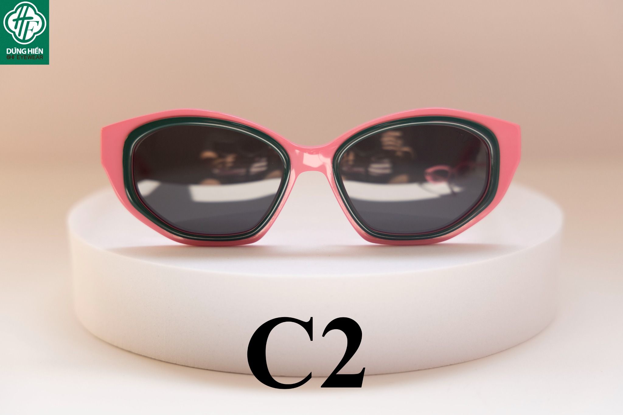  YD 1213 # Kính nhựa mắt mèo Acetate cateye optical frame 