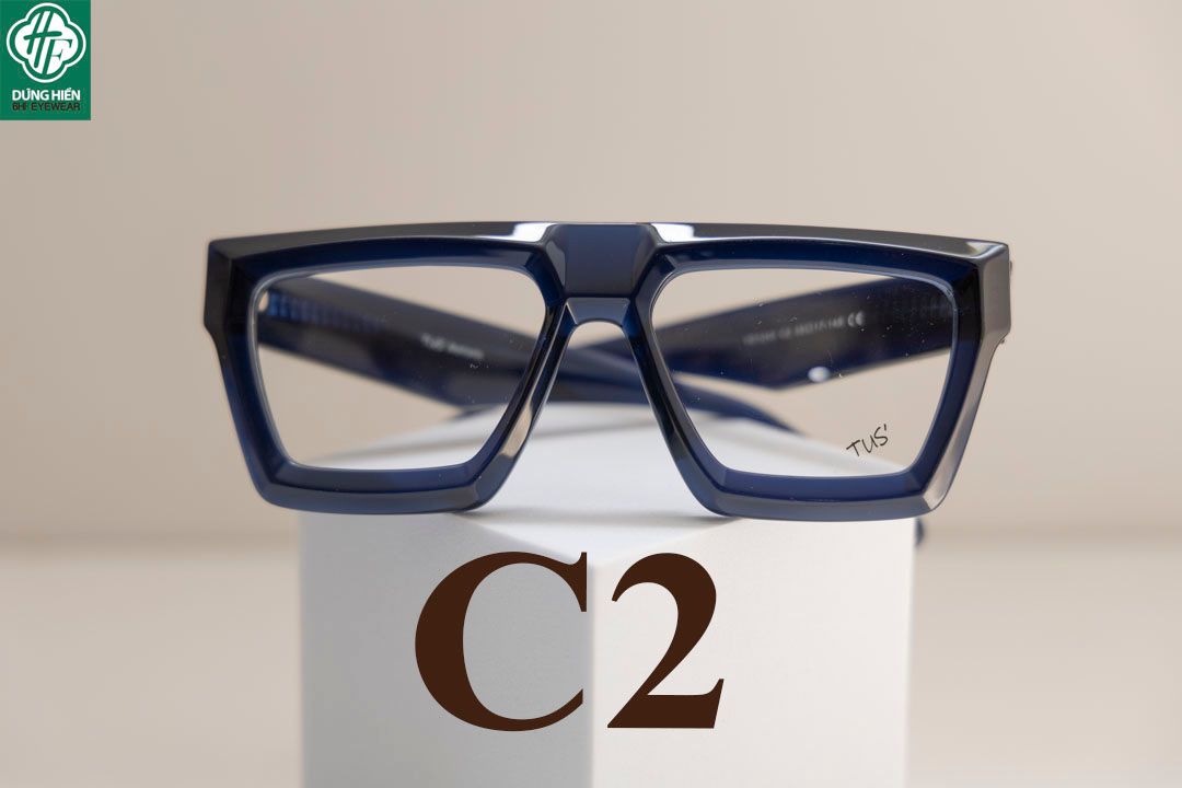  YD 1243 # Kính nhựa Acetate Eyewear - TUS' 