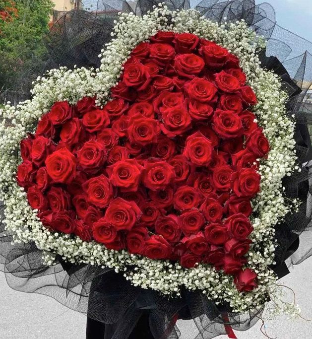 300 hình ảnh hoa hồng tuyệt đẹp không nên bỏ qua  ảnh hoa hồng Valentine  142 ảnh hoa hồng 83 ảnh hoa hồng 2010