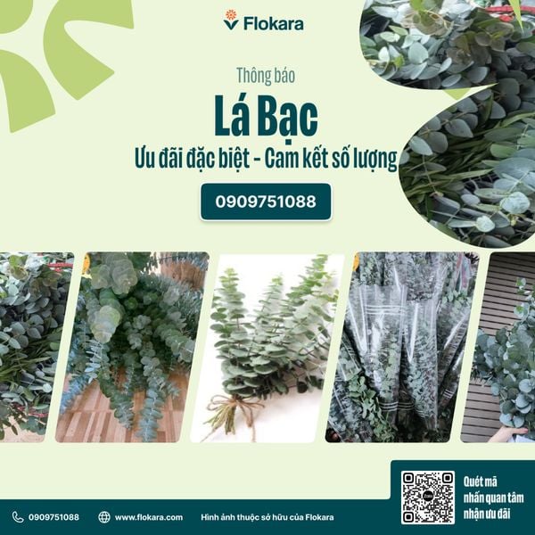  Lá Bạc Cắm Hoa 