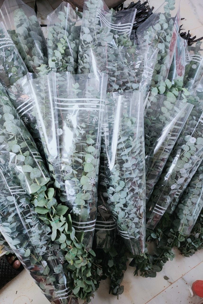  Lá Bạc Cắm Hoa 