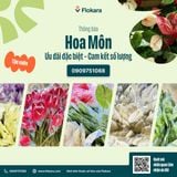  Hồng Môn 