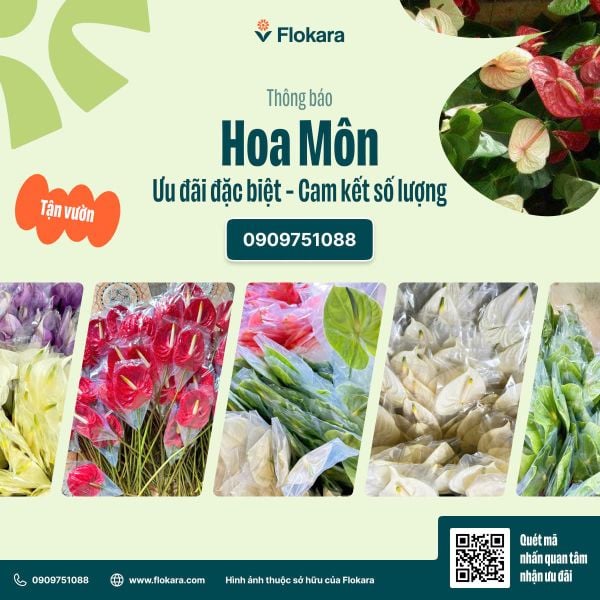  Hồng Môn 