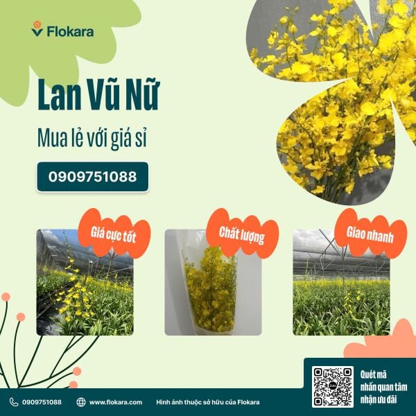  Vũ Nữ Vàng Chanh 