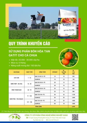  Dinh dưỡng cho cà chua - Phân bón hòa tan Gatit 