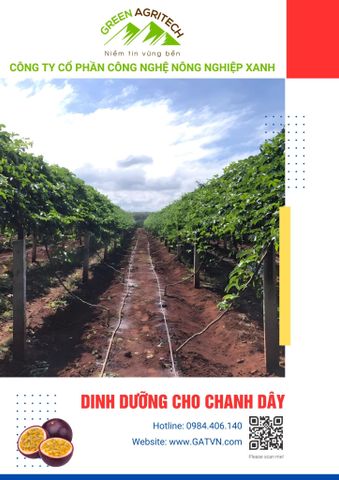  Dinh dưỡng cho chanh dây - Phân bón hòa tan Gatit 