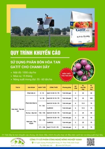  Dinh dưỡng cho chanh dây - Phân bón hòa tan Gatit 