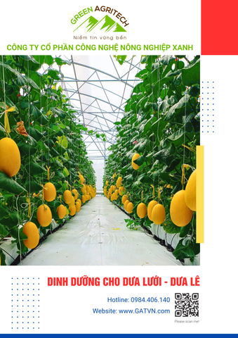  Dinh dưỡng cho Dưa Lưới, Dưa Lê - Phân bón hòa tan Gatit 