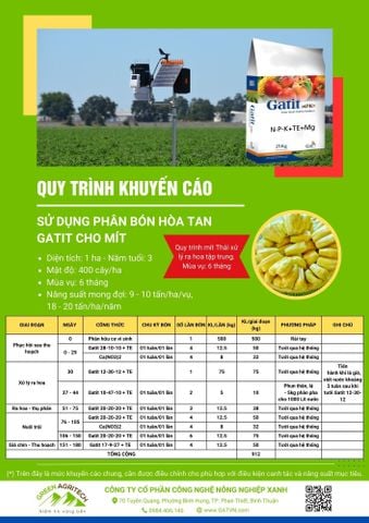 Dinh dưỡng cho Mít - Phân bón hòa tan Gatit 