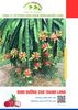  Dinh dưỡng cho thanh long - Phân bón hòa tan Gatit 
