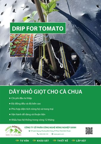 Dây tưới nhỏ giọt cho Cà Chua