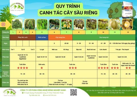 Dinh dưỡng cây trồng