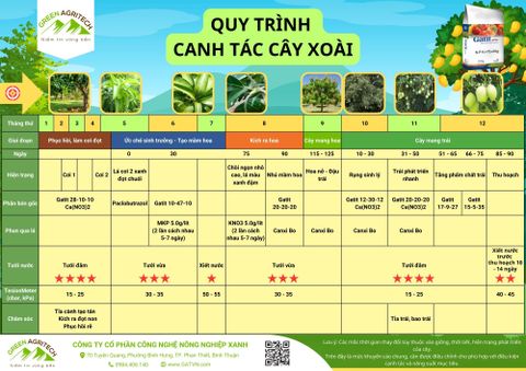Quy trình canh tác cây Xoài - Phân bón hòa tan Gatit