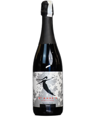 Sparkling St Anne's Winery Shiraz