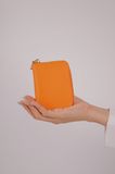 Mini Zipper Wallet