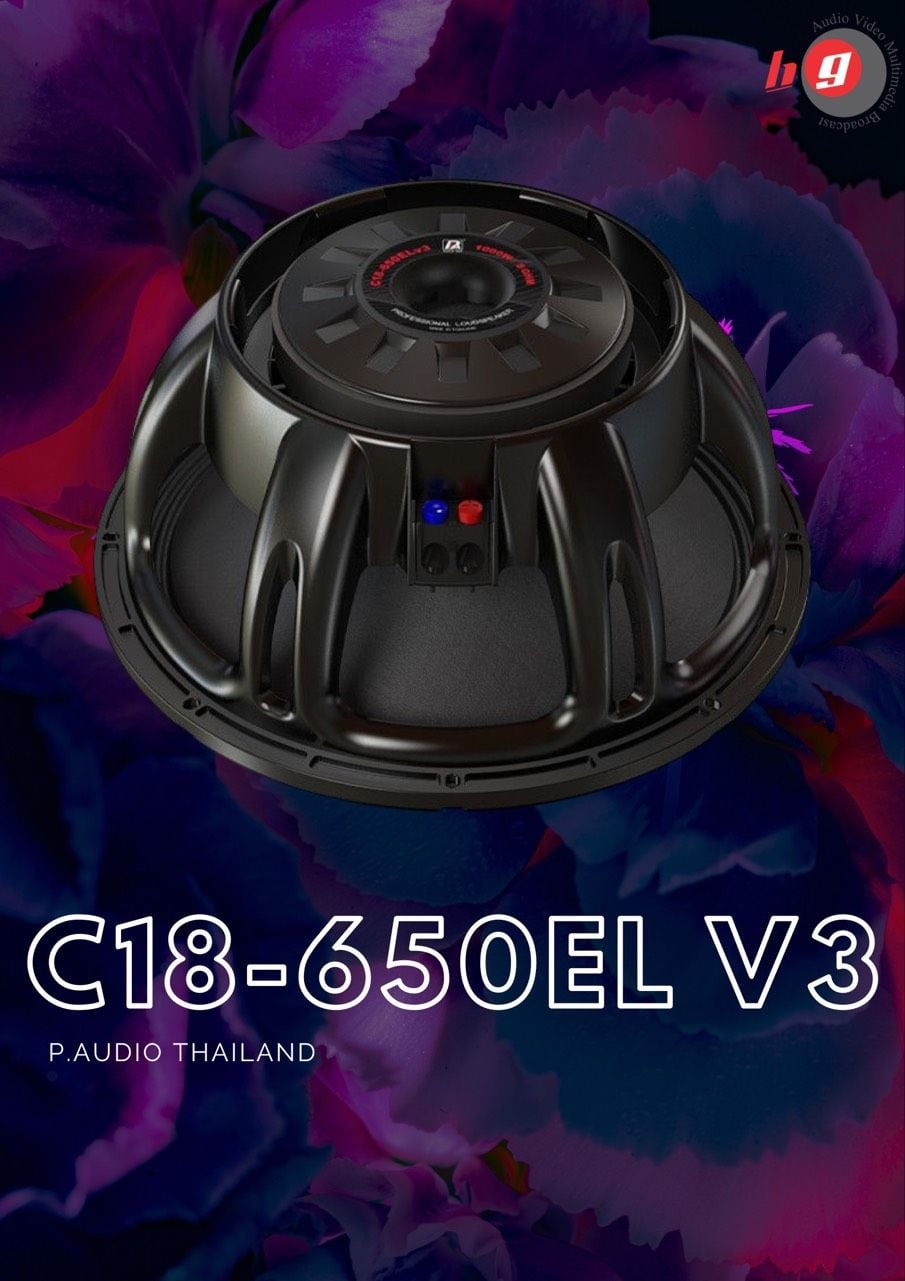 18 Inch P Audio 650el Bass Speaker Paudio Gst 18 1200 Black C18