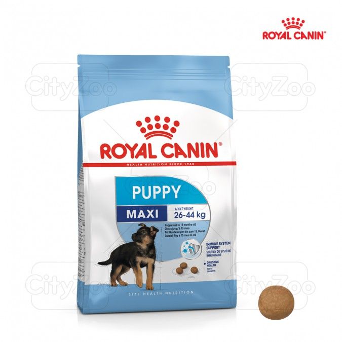  Thức ăn dinh dưỡng cho chó Royal Canin Maxi Puppy 