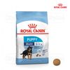  Thức ăn dinh dưỡng cho chó Royal Canin Maxi Puppy 