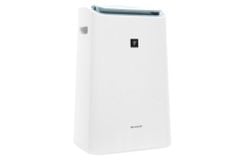 Máy lọc không khí kết hợp hút ẩm Sharp DW-E16FA-W