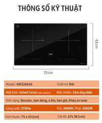 Bếp từ Munchen GM2266SA