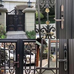 Khoá vân tay cửa nhôm Avolock AN-391