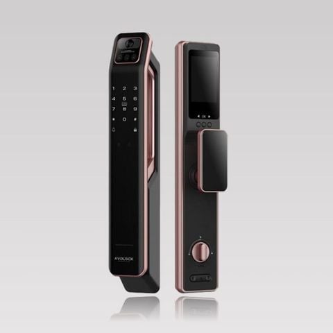 Khóa điện tử Avolock AL-89FRV