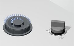 Bếp gas Bosch Domino PRB3A6B70