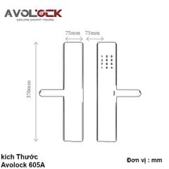 Khóa cửa thông minh 605A