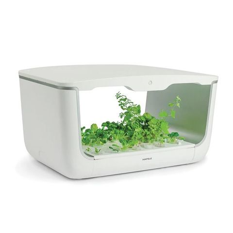 Hộp trồng cây Hafele EasyGrow Home Box (H-box)