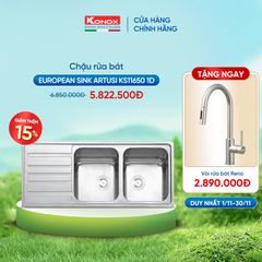 Chậu rửa bát 2 hố KS11650 1D TẶNG vòi rửa bát dây rút RENO