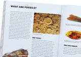  NATURAL HISTORY COLLECTOR: HUNT, DISCOVER, LEARN! 