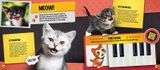  MY CUTEST KITTEN : WITH YOUR VERY OWN AUGMENTED REALITY KITTEN 
