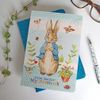  A5 SOFT COVER NOTEBOOK - PETER RABBIT 