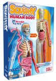  SQUISHY HUMAN BODY (SMARTLAB TOYS) - MÔ HÌNH GIẢI PHẪU CƠ THỂ NGƯỜI 3D 