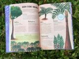  WHEN PLANTS TOOK OVER THE PLANET : THE AMAZING STORY OF PLANT EVOLUTION 