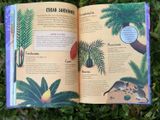  WHEN PLANTS TOOK OVER THE PLANET : THE AMAZING STORY OF PLANT EVOLUTION 