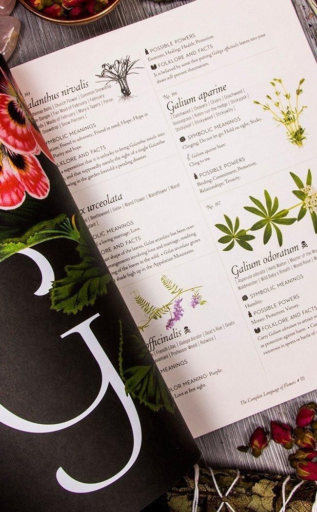 THE COMPLETE LANGUAGE OF FLOWERS VOLUME 3 A DEFINITIVE AND ILLUSTRA