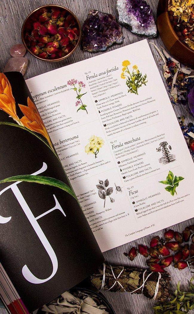 THE COMPLETE LANGUAGE OF FLOWERS VOLUME 3 A DEFINITIVE AND ILLUSTRA