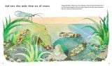  FIND OUT ABOUT ... ANIMAL HOMES 