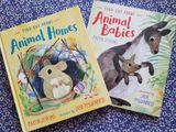  FIND OUT ABOUT ... ANIMAL HOMES 