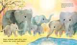  FIND OUT ABOUT ... ANIMAL BABIES 