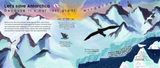  LET'S SAVE ANTARCTICA: WHY WE MUST PROTECT OUR PLANET 