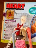  SQUISHY HUMAN BODY (SMARTLAB TOYS) - MÔ HÌNH GIẢI PHẪU CƠ THỂ NGƯỜI 3D 