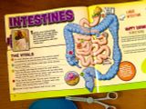  SQUISHY HUMAN BODY (SMARTLAB TOYS) - MÔ HÌNH GIẢI PHẪU CƠ THỂ NGƯỜI 3D 