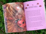  TALES FROM THE FOREST 