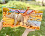  POP-UP ANIMALS 