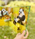  POP-UP ANIMALS 