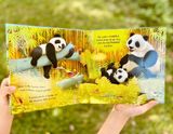  POP-UP ANIMALS 