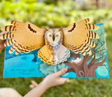  POP-UP BIRDS 