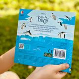  POP-UP BIRDS 